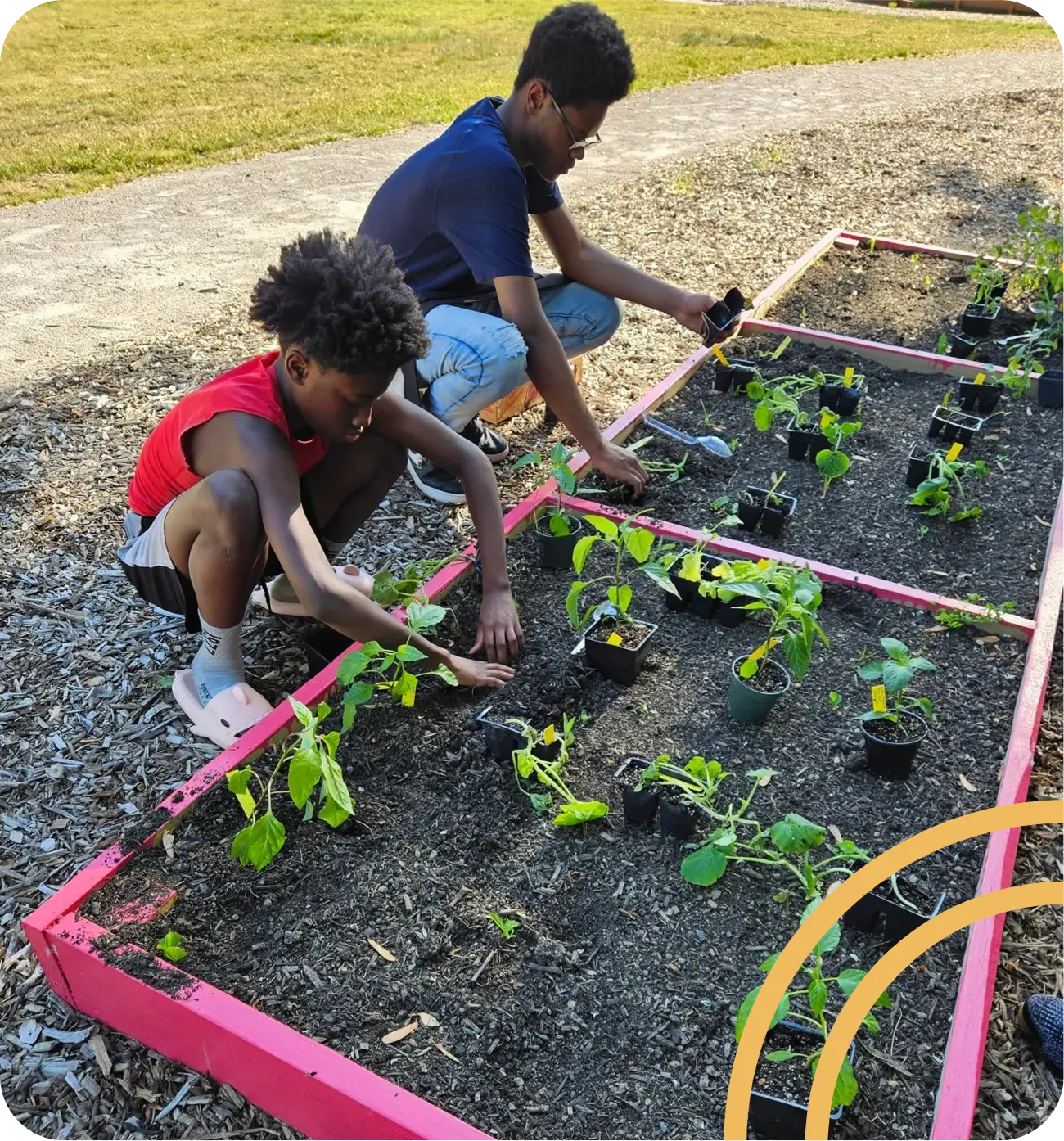LINKS Youth Ambassador Program@2x